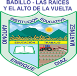 Escudo Institucional